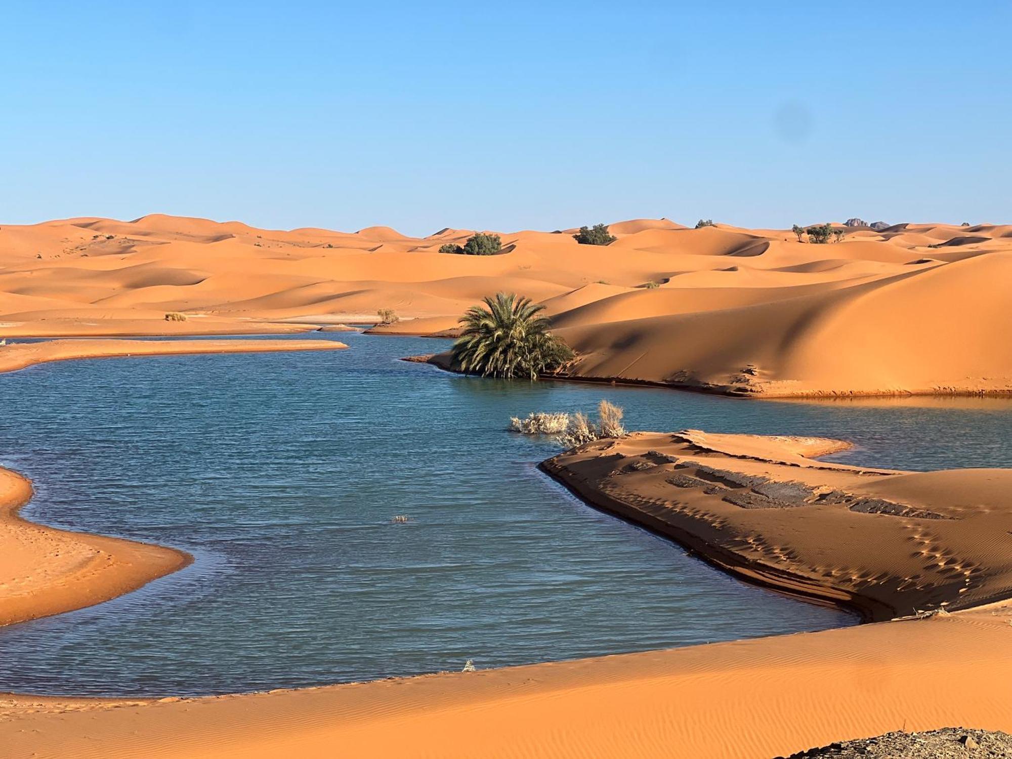 Berber Palace Merzouga Eksteriør billede